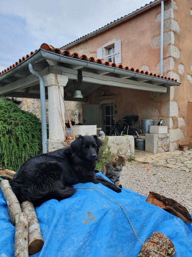 Lovrini Dvori Διαμέρισμα Brusici Εξωτερικό φωτογραφία